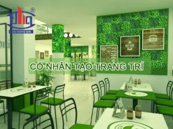 Cỏ Nhân Tạo Trang Trí