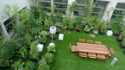 DGGrass - địa chỉ cung cấp cỏ nhân tạo sân vườn Hà Nội uy tín